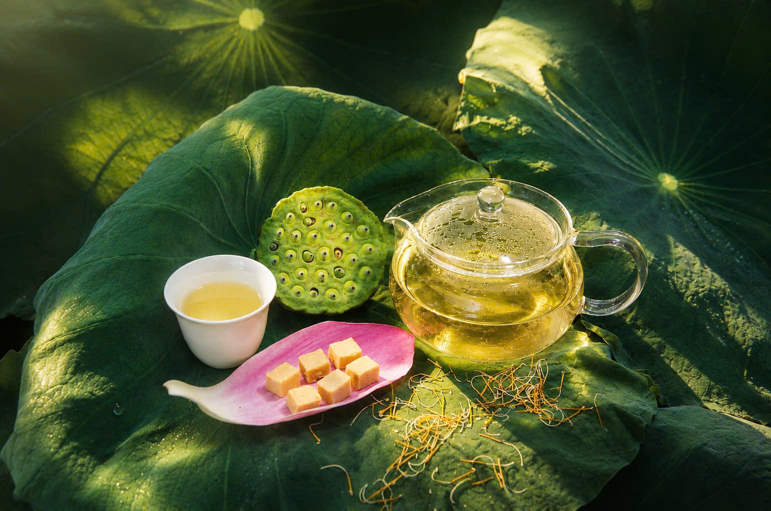 am-tra-danh-cho-du-khach-tai-quang-duc-xua